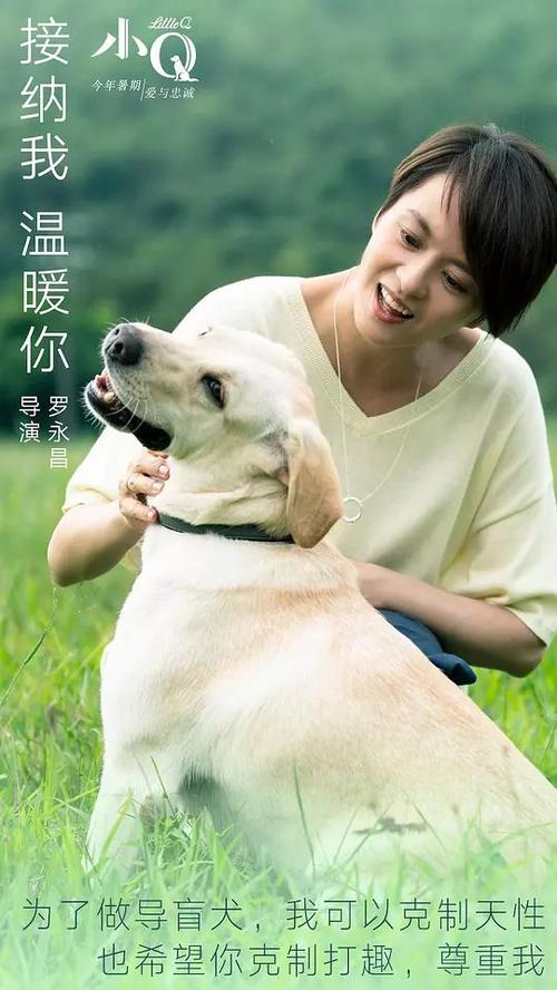 坎贝斯维尔大学学位证购买